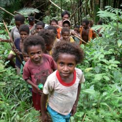 A group of Indonesians, mainly children, in a forest