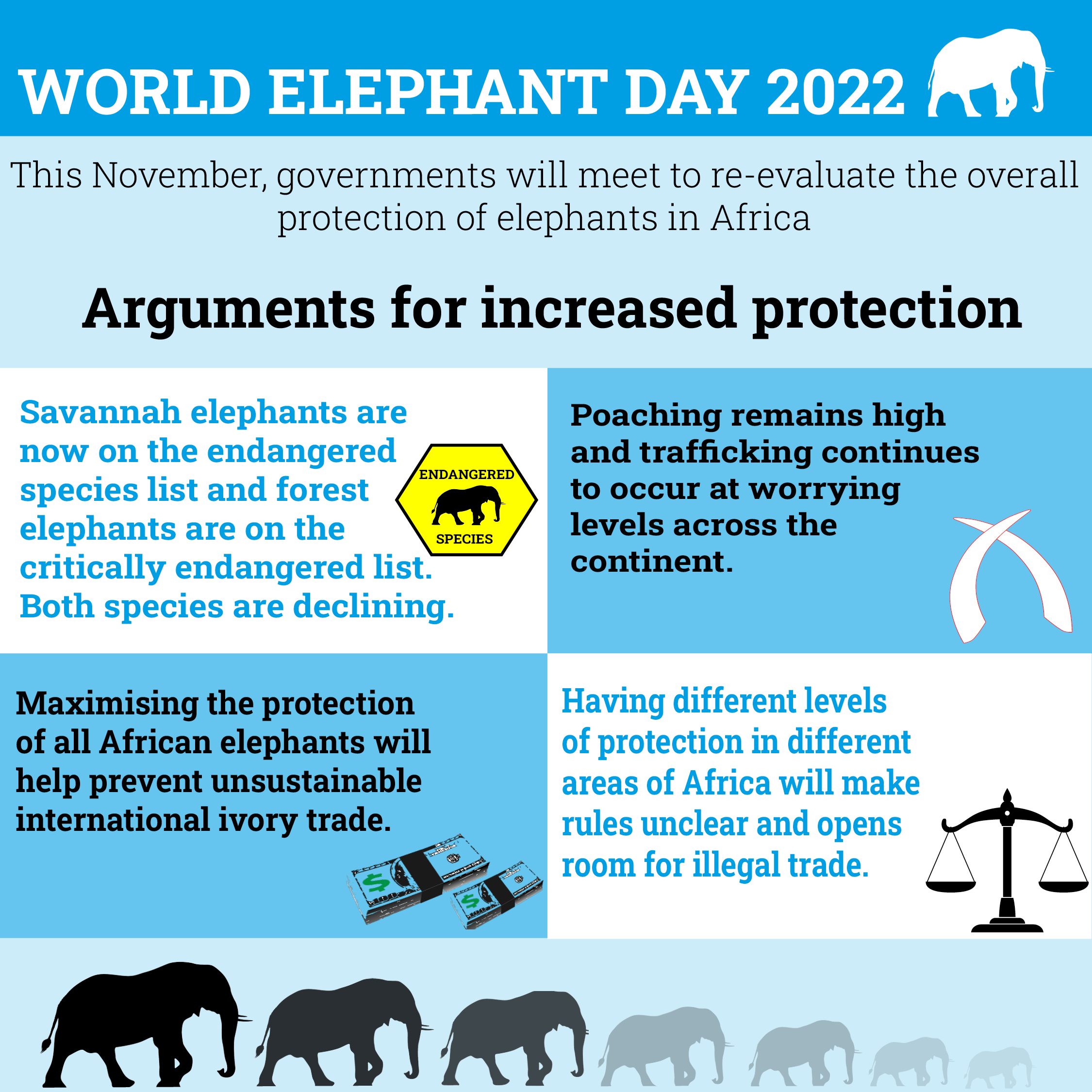 On World Elephant Day 2022, these endangered giants are facing a renewed  ivory trade threat - EIA