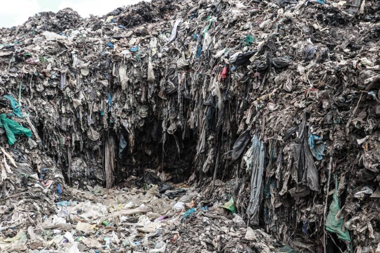  	 Podcast – Why tiny microplastics add up to an invasion across planetary systems