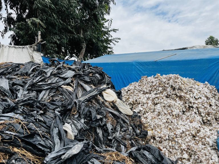 Podcast – Breaking the deadlock: Alternative pathways to securing a Global Plastics Treaty