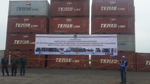 DG Law Enforcement MoEF Seizure Container Merbau from Papua n West Papua in Tanjung Perak Port Jan 2019 (3)