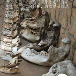 Chinese language cover for the Vanishing Point report