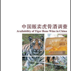 Front cover of our report entitled Availability of Tiger Bone Wine in China