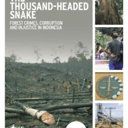 Front cover of our report entitled The Thousand-Headed Snake: Forest Crimes, Corruption and Injustice in Indonesia