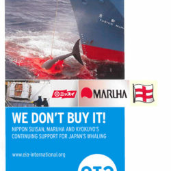 Front cover of our report entitled We Don't Buy It! Nippon Suisan, Maruha and Kyokuyo's continuing support for Japan's whaling