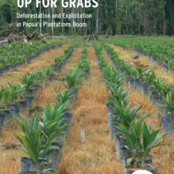 Front cover of our report entitled Up for Grabs: Deforestation and Exploitation in Papua's Plantations Boom