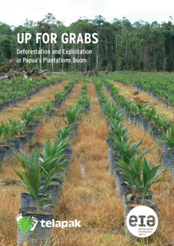 Front cover of our report entitled Up for Grabs: Deforestation and Exploitation in Papua's Plantations Boom