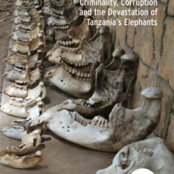 Front cover of our report entitled Vanishing Point: Criminality, Corruption and the Devastation of Tanzania's Elephants