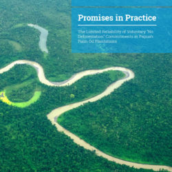 Front cover of our report entitled Promises in Practice: The Limited Reliability of Voluntary 