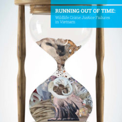 Front cover of our report entitled Running out of Time: Wildlife Crime Justice Failures in Vietnam
