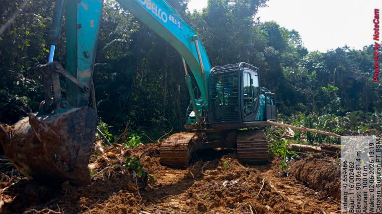 Podcast – is palm oil still a big problem … and will it ever be truly sustainable?