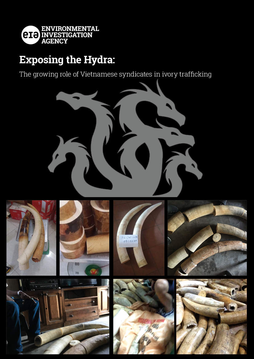 Exposing the Hydra report cover (c) EIAimage