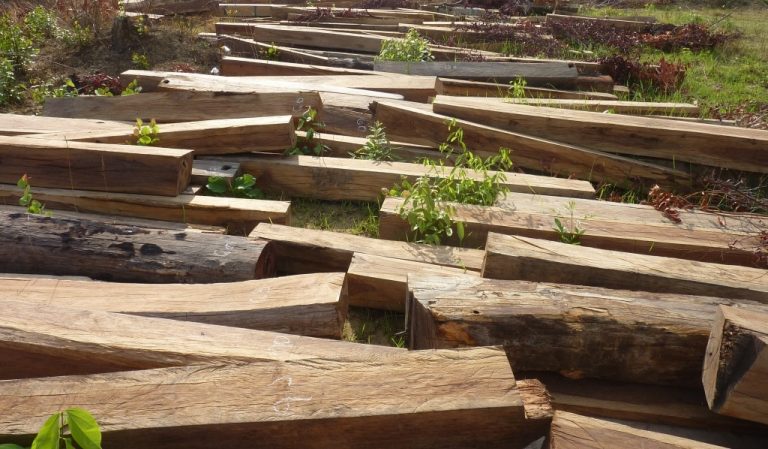 Confronting a legacy of crime and corruption in Myanmar’s illegal teak trade