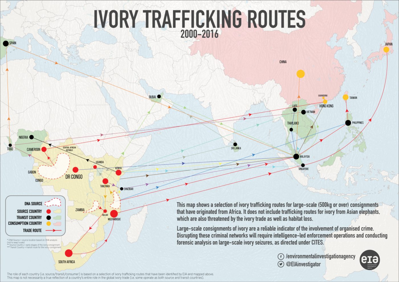 The Tangled Routes Of Global Elephant Ivory Trafficking Eia