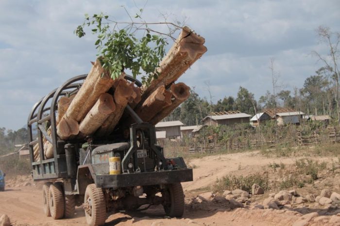 Truck transporting Lagerstroemia logs, Laos (c) EIA lr 1