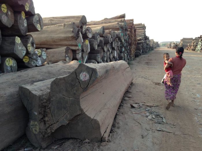 Log yard in Myanmar (c) EIA
