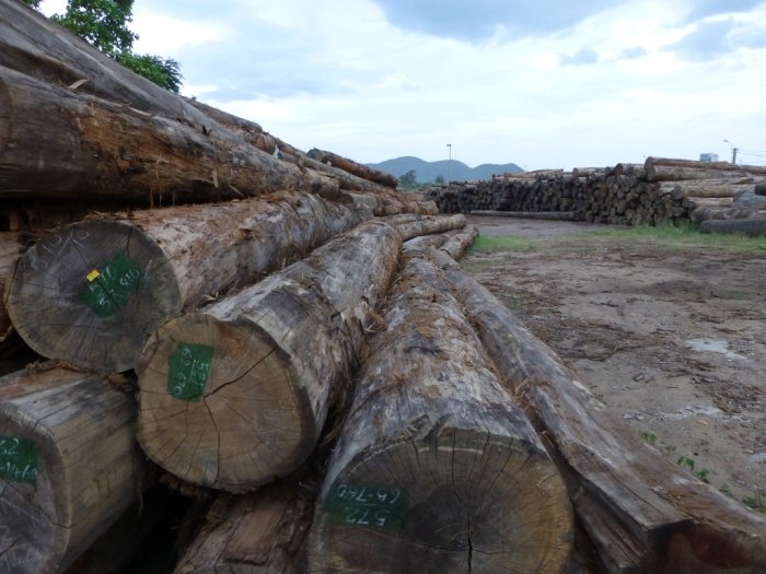 Logs stolen from Laos in the Vietnamese port of Qui Nhon (c) EIA