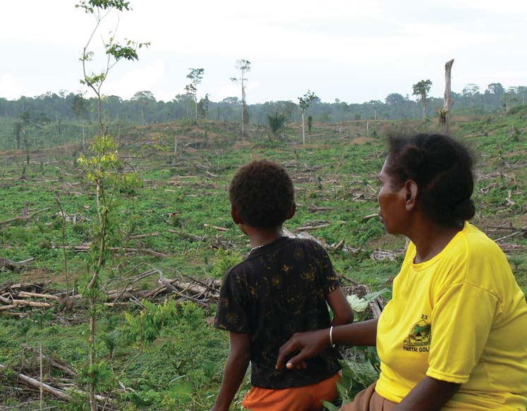 EU announces commitment to step up action against deforestation