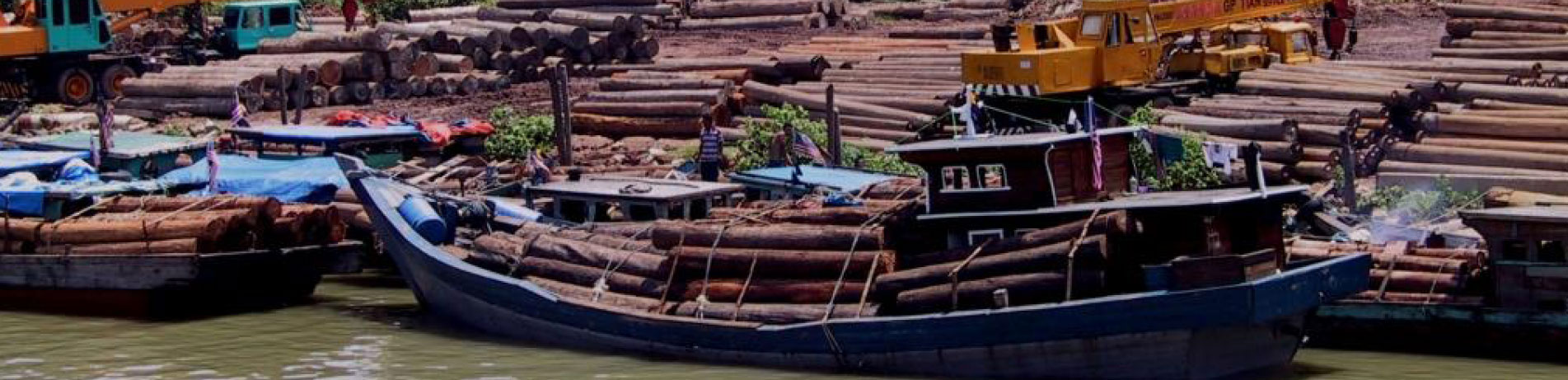 Illegal timber transported by boat, Malaysia