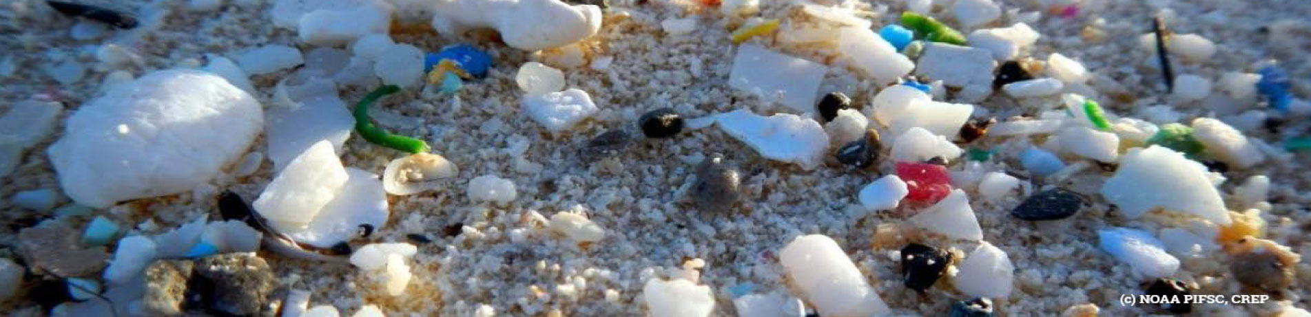 Microplastic litter on a beach