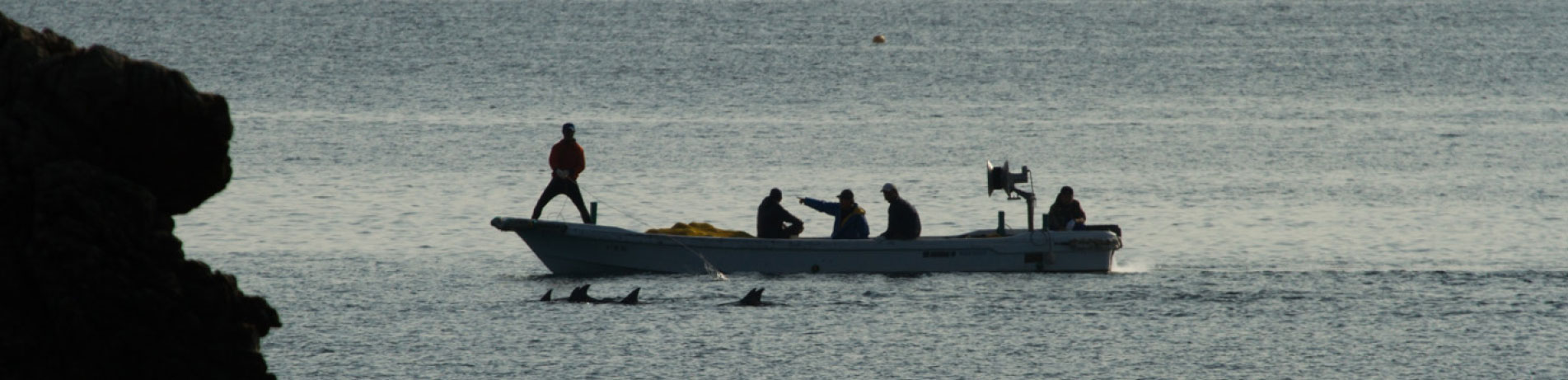 Japanese fishermen hunting dolphins, Taiji, Japan