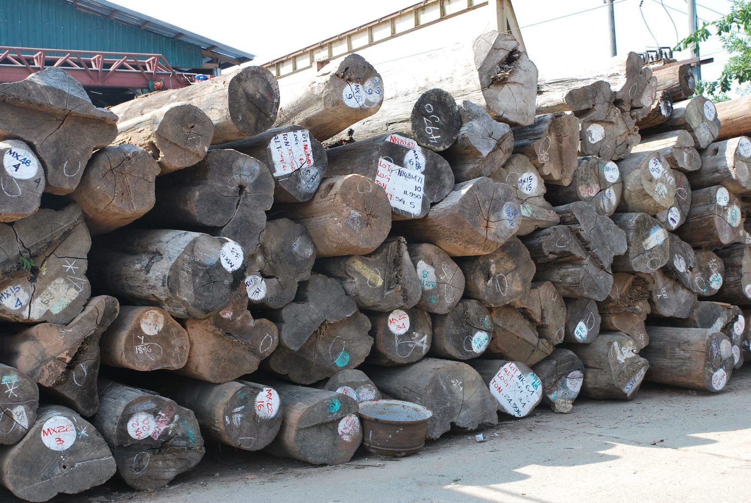 New EU sanctions target Myanmar timber and natural resources sector to