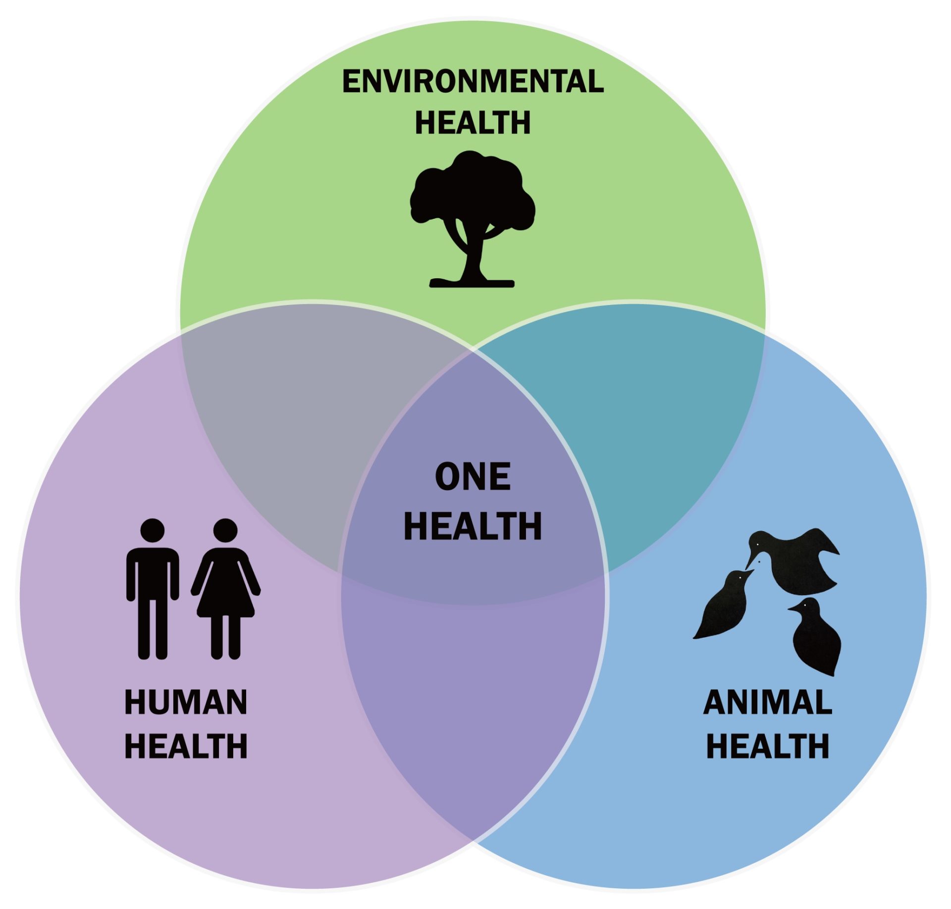 one world one health prevent zoonoses stop the spread