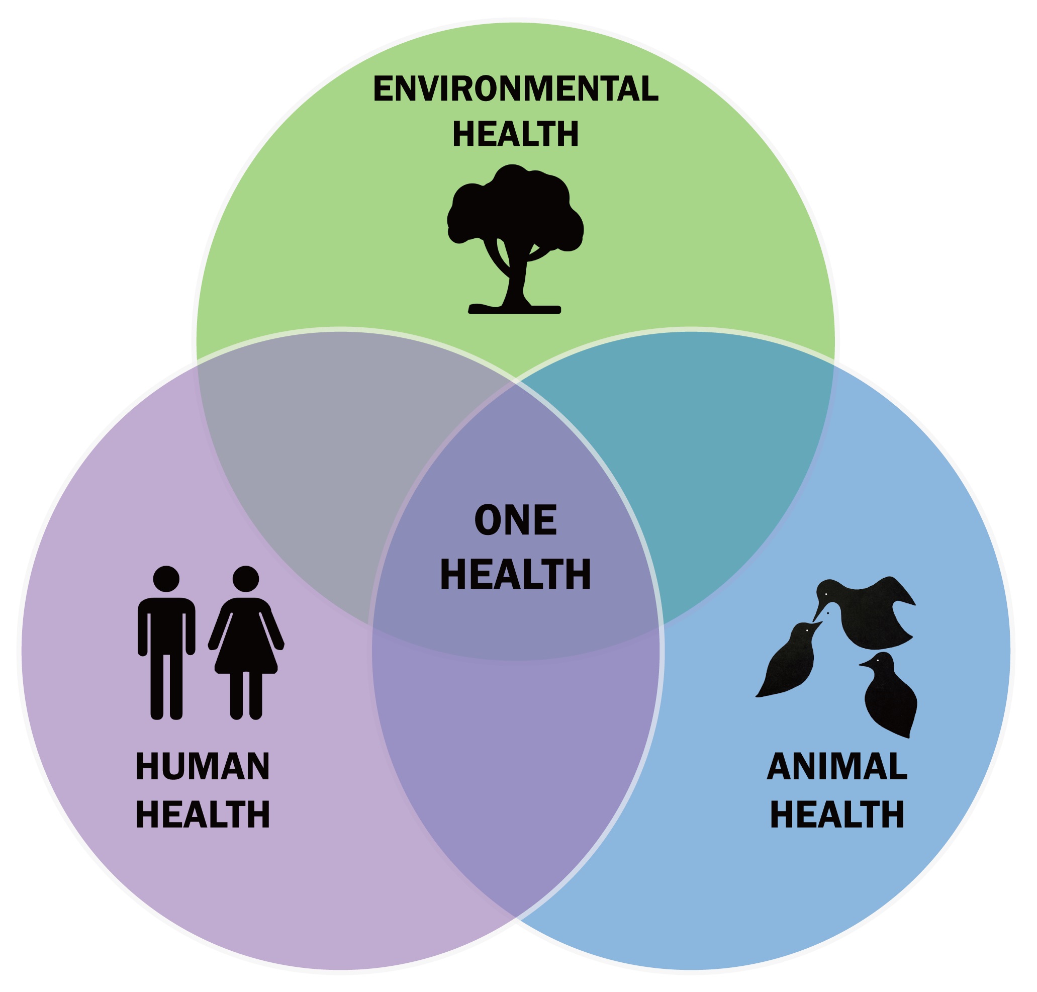 Experts Call for Greater Cooperation Between Human, Animal and Environmental Health Organisations to Protect Against Future Public Health Crises