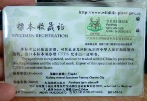 Tiger skin permit at Xia Feng (c) EIA