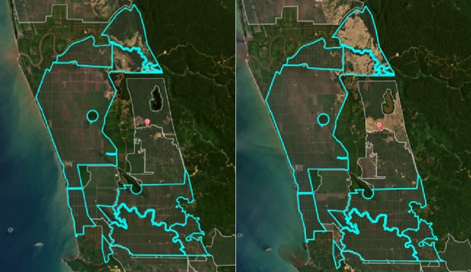 Some of the worst palm oil deforesters in 2022 are supplying major