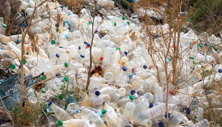  	 EIA podcast – After the collapse of Global Plastics Treaty talks, where do we go from here?