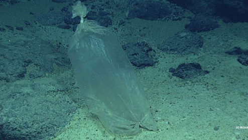 Plastic bag found by a NOAA expedition to the Marianas in 2016 (NOAA)