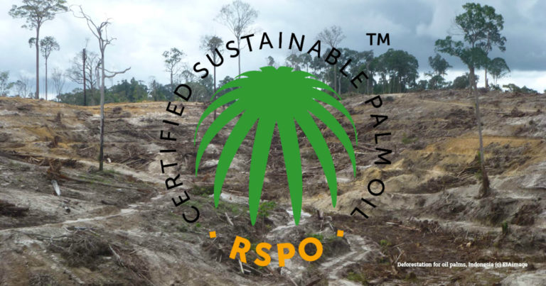 RSPO gives commitment to investigate palm oil ‘sustainability con’ allegations