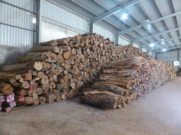 Rosewood logs stored in a warehouse, Dong Ha, Vietnam (c) EIA