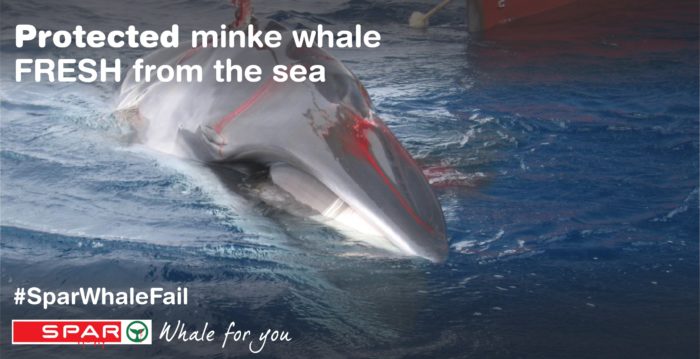 SPAR Fake ad - minke whale kill