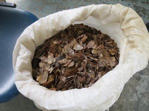 Some of the pangolin scales seized in Hong Kong in June 2014, via customs.gov.hk
