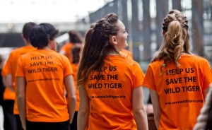 Tiger Tracks volunteers (c) Vrinda Webb Photography