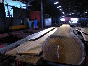 Timber factory saw mill, Indonesia (c) EIA