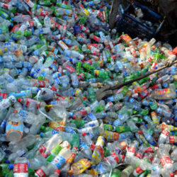 A woman sifts through a Pile of Plastic waste collected for processing