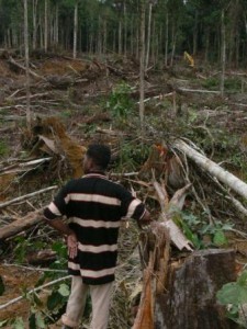 Man in destroyed forest