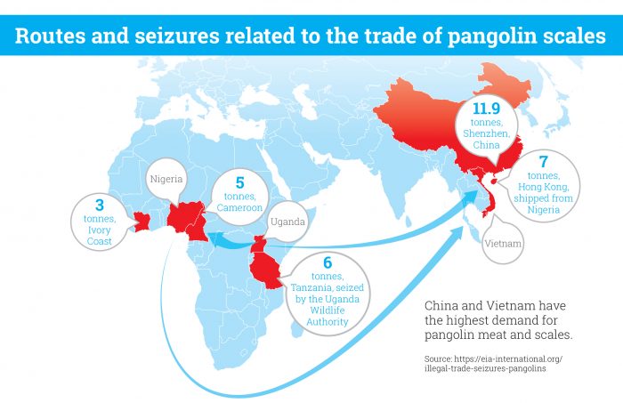 Routes and Seizures related to the trade of pangolin scales