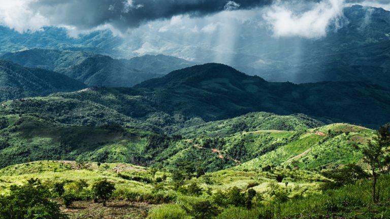 Forest crime impunity is a national security threat — so how do we end it?
