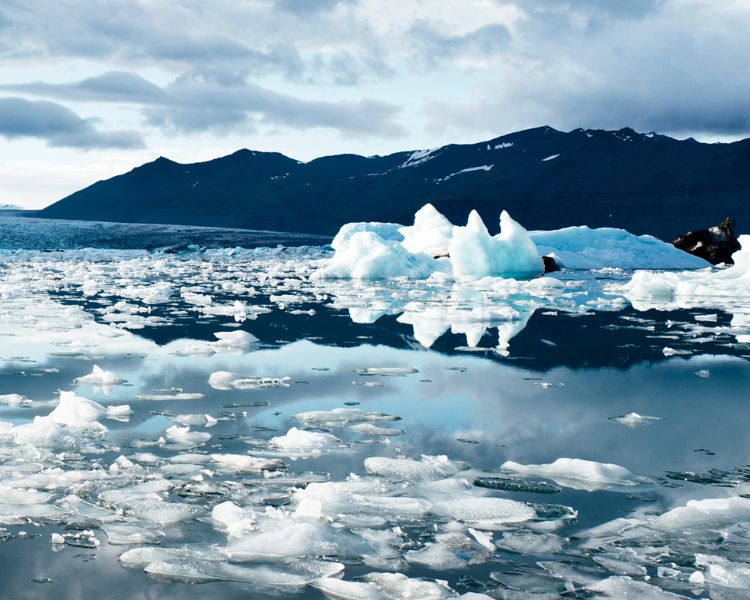 Help us slow global warming