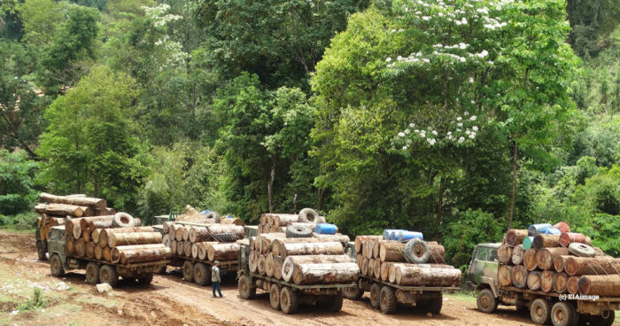 myanmar log trucks