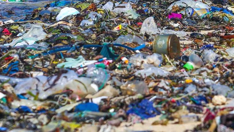  	 EIA podcast – why does the world need a new global treaty to fight plastic pollution?