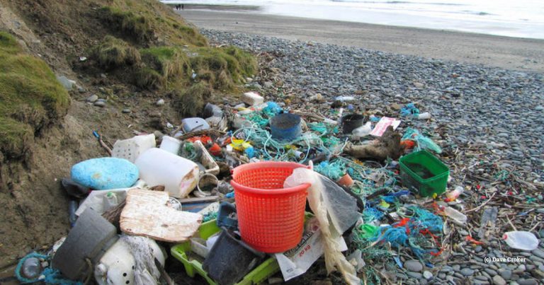 Find out about our plastic pollution work