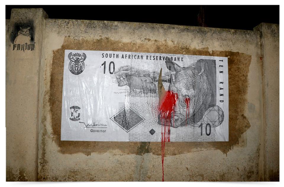 All about the money? Rhino awareness graffiti by street artist Faktor in Port Elizabeth, South Africa
