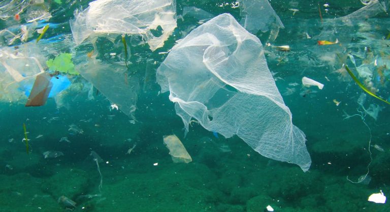 EIA podcast – Plastic waste: ‘A terrible and insidious threat to human and environment health’