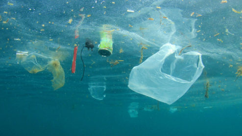 Plastic bags in ocean