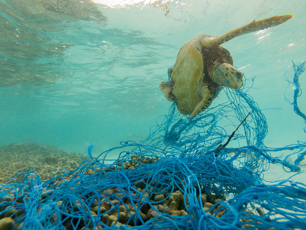 How to end ocean plastic pollution - EIA